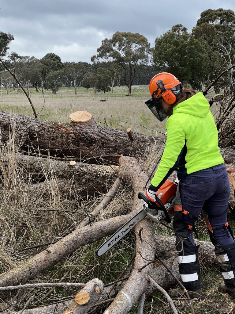 Student operating a Chainsaw