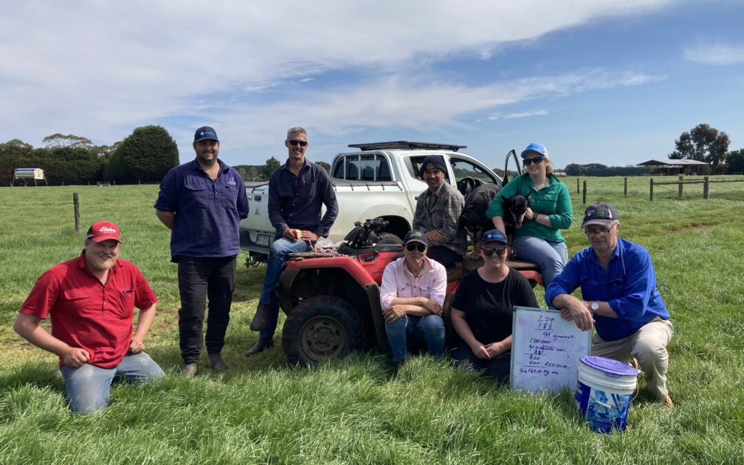  Setting Ewes up for Success in Heytesbury