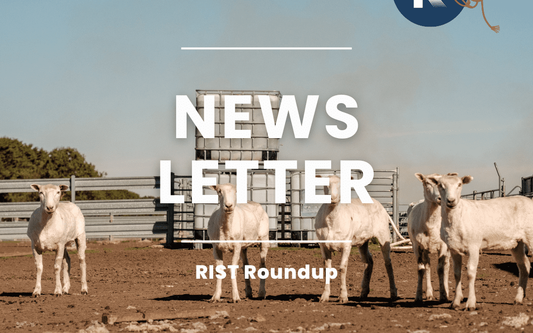 RIST RoundUp 🤝  October Newsletter